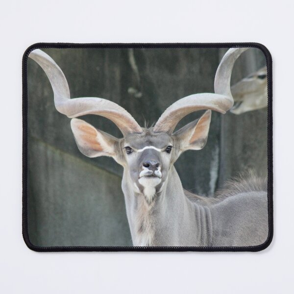 Item preview, Kudu designed and sold by Robin Raible.