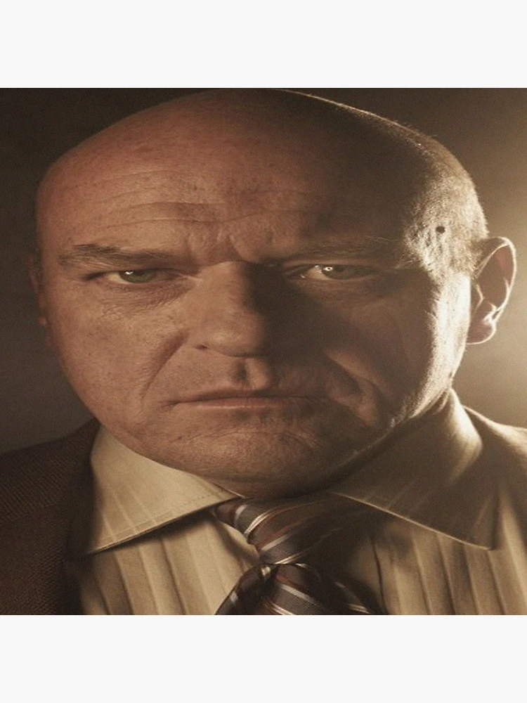 Hank Schrader says sussy baka Original 