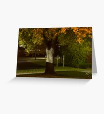 Hollow Tree Man Greeting Card