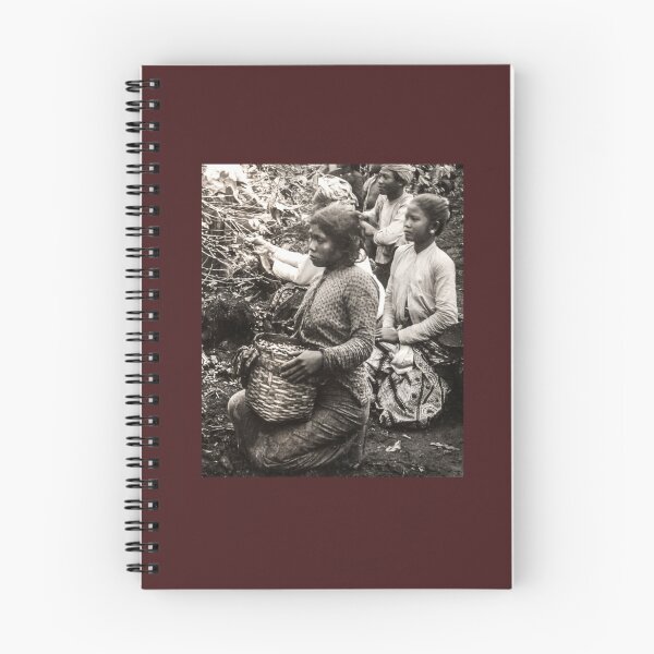 Item preview, Coffee Harvest Java, Indonesia 1900 designed and sold by lobodelnoir.