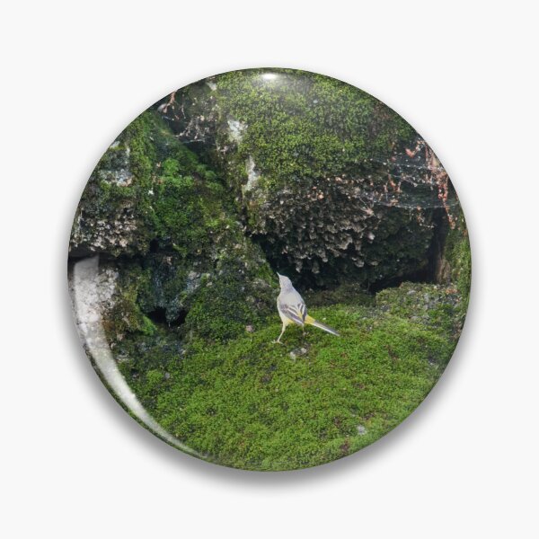 Item preview, Greens. Grey wagtail designed and sold by Jouko Lehto Photography.