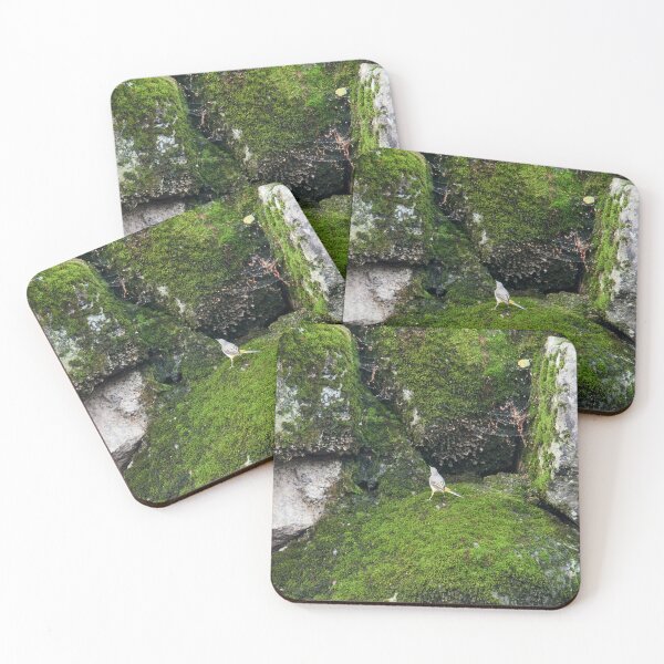Item preview, Greens. Grey wagtail designed and sold by Jouko Lehto Photography.