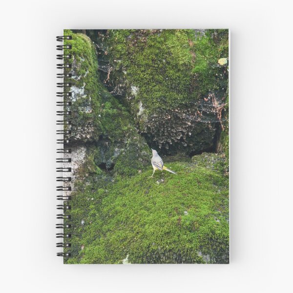 Item preview, Greens. Grey wagtail designed and sold by Jouko Lehto Photography.