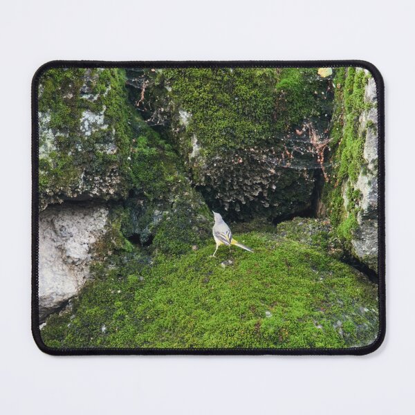Item preview, Greens. Grey wagtail designed and sold by Jouko Lehto Photography.