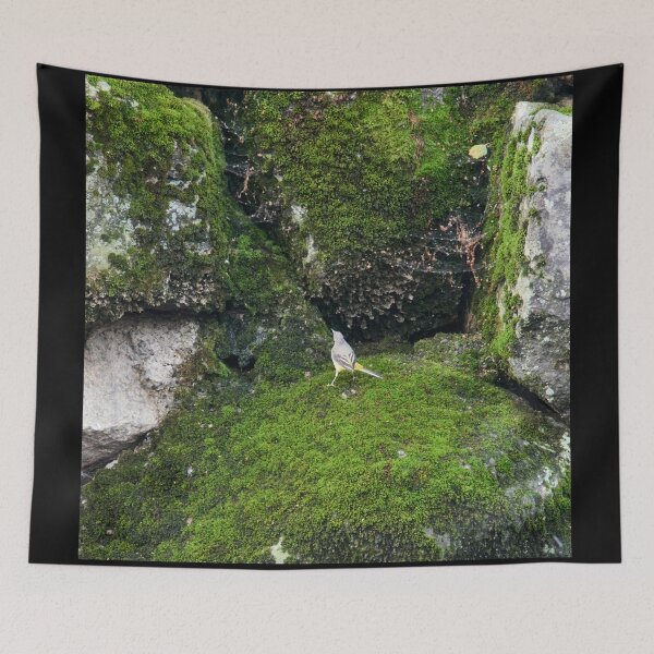 Item preview, Greens. Grey wagtail designed and sold by Jouko Lehto Photography.