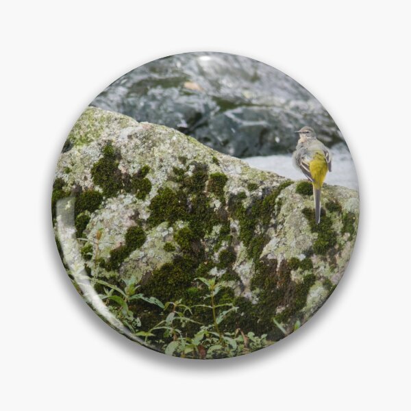Item preview, Wondering. Grey wagtail designed and sold by Jouko Lehto Photography.