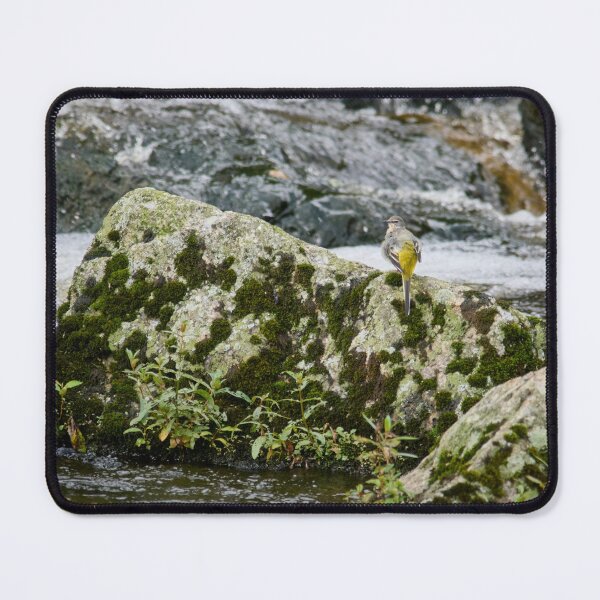 Item preview, Wondering. Grey wagtail designed and sold by Jouko Lehto Photography.