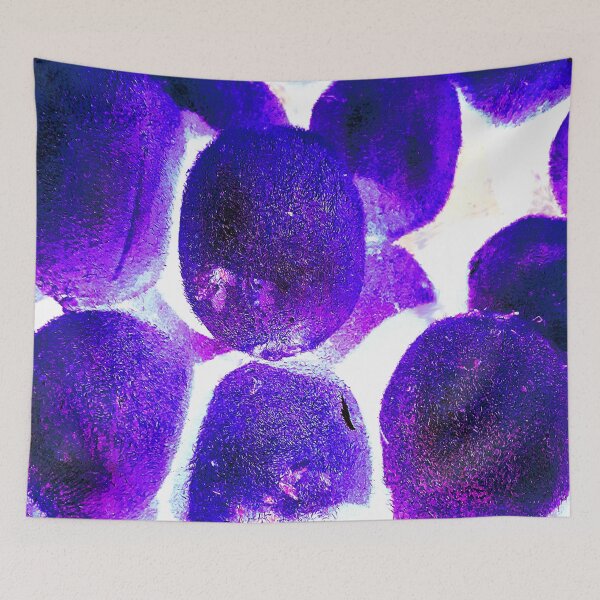 Item preview, purple kiwis in the light designed and sold by Gabriel BOCQUAIRE.