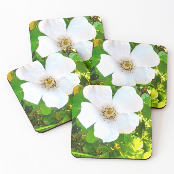 Item preview, White Beach Rose  designed and sold by etherealwonders.