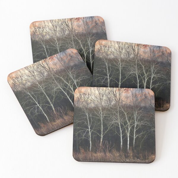 Item preview, The graceful dance of white birches in the forest designed and sold by Dejan Travica.