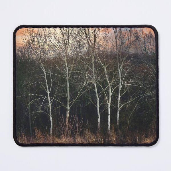 Item preview, The graceful dance of white birches in the forest designed and sold by Dejan Travica.