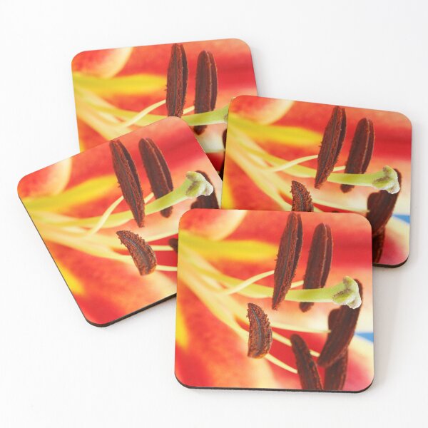 Item preview, Lilium  'Starburst'   designed and sold by Chris Burrows.