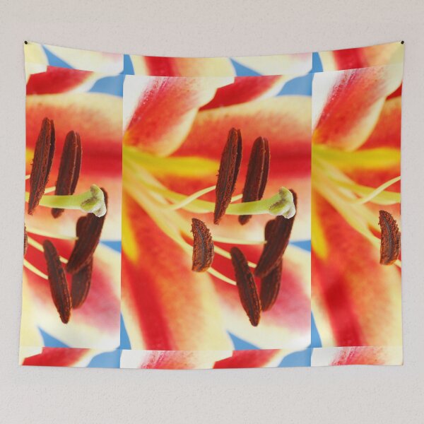Item preview, Lilium  'Starburst'   designed and sold by Chris Burrows.