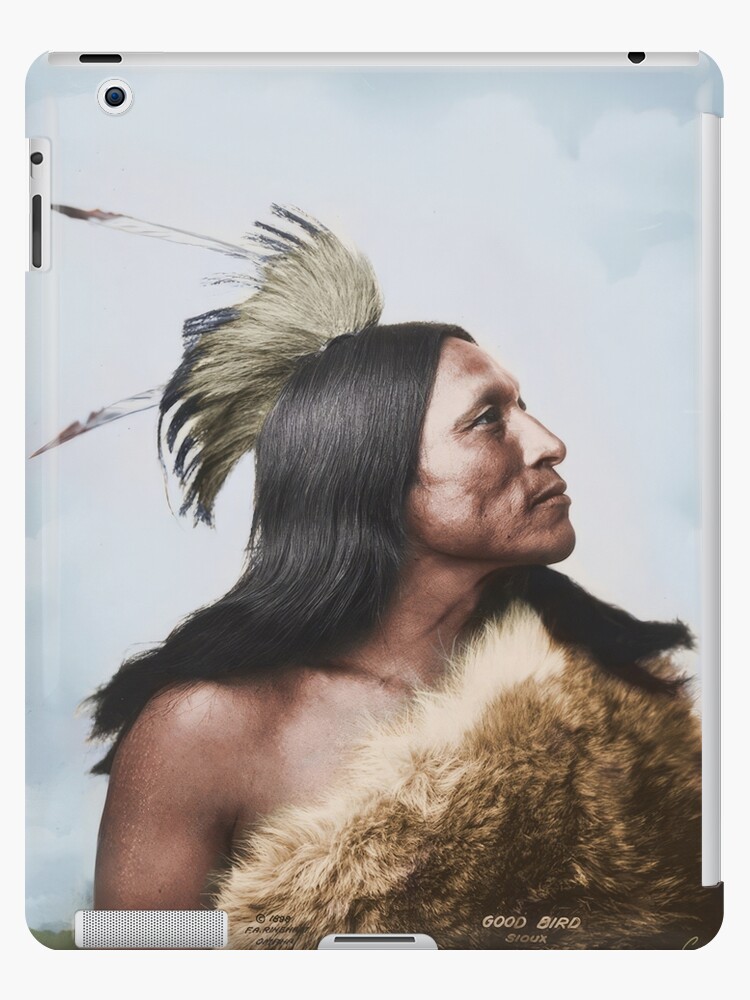 lakota sioux warrior