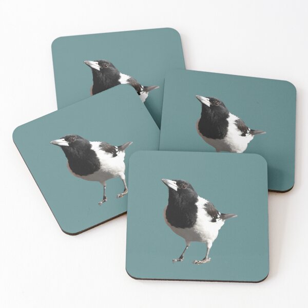 Item preview, Pied Butcherbird designed and sold by mamolebo.