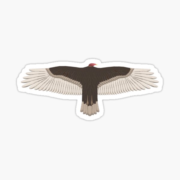 Item preview, The Noble Turkey Vulture designed and sold by ClearwaterCreek.
