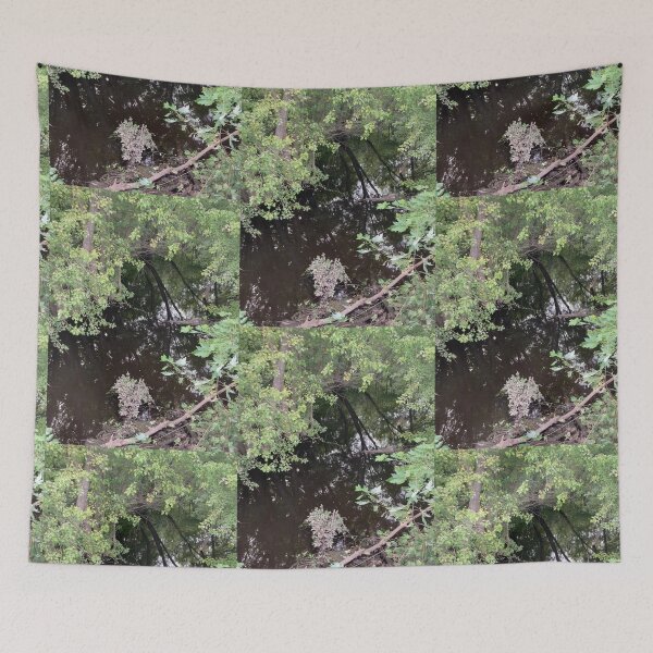 Item preview, Dark Flooded Forest  designed and sold by Amanda1775.