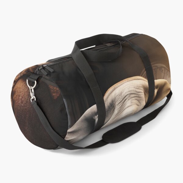 Item preview, The Wise Pachyderm: Elephant's book reader designed and sold by Brendon987.