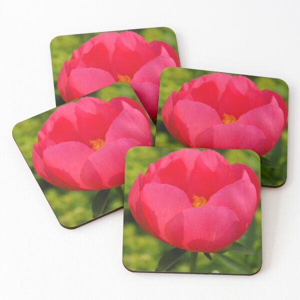 Item preview, Vivid Spring - Impossibly Pink Peony Unfolding designed and sold by Georgia Mizuleva.