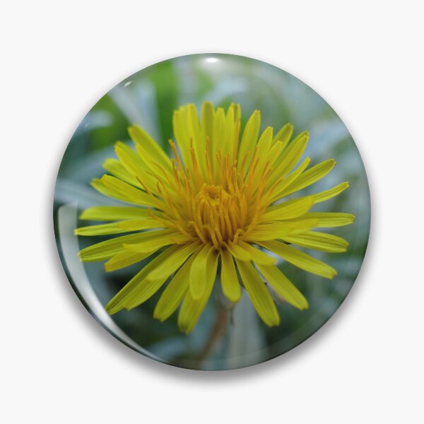 Item preview, Dandelion designed and sold by Evergreen365.