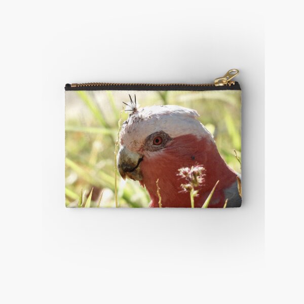 Item preview, Galah with prickles stuck in its head  designed and sold by Mark Grimsley.