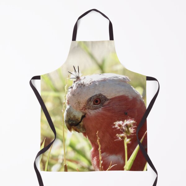 Item preview, Galah with prickles stuck in its head designed and sold by Mark Grimsley.