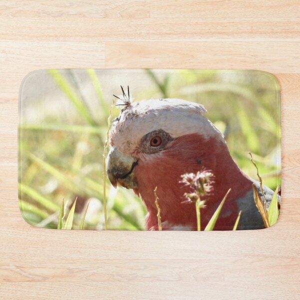 Item preview, Galah with prickles stuck in its head  designed and sold by Mark Grimsley.