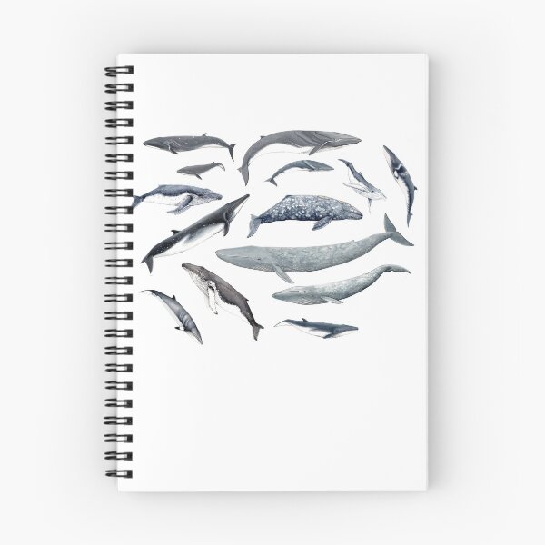 Item preview, Whales all around designed and sold by chloeyzoard.