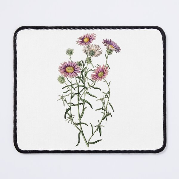 Item preview, Boho Wildflowers, Vintage Tansyaster Floral designed and sold by ArtCornerStudio.