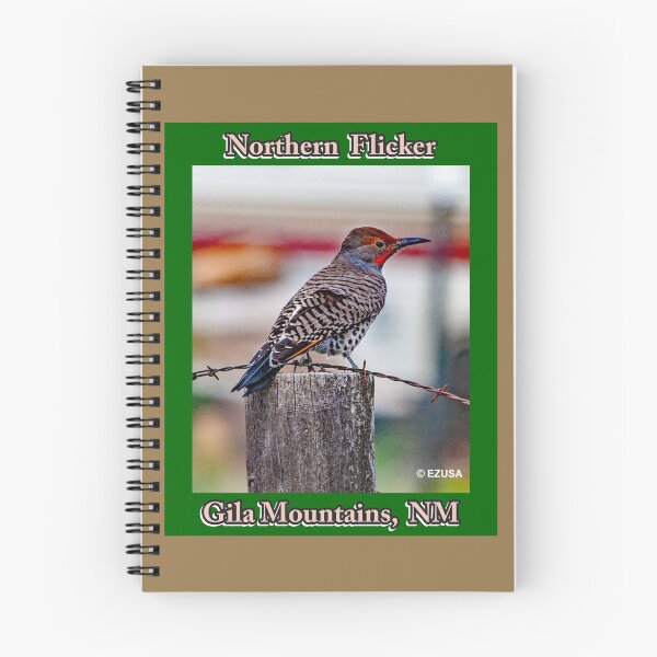 Item preview, The Perfect Gift For A Bird Lover: Northern Flicker, Gila Mountains, NM. designed and sold by MoreEZUSA-Here.