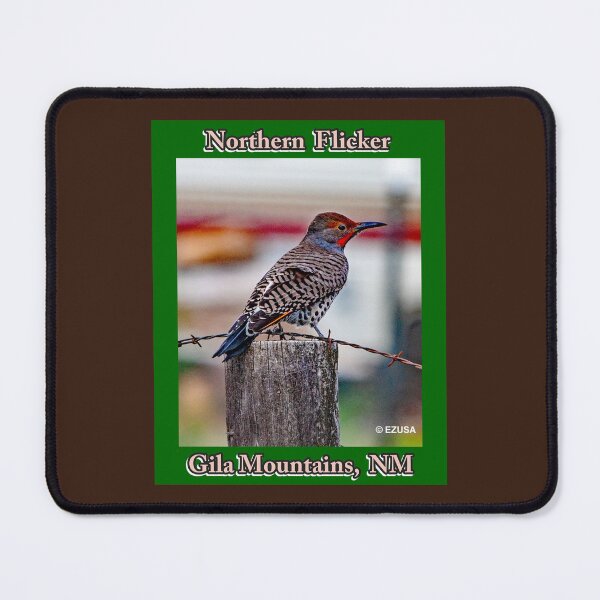 Item preview, The Perfect Gift For A Bird Lover: Northern Flicker, Gila Mountains, NM. designed and sold by MoreEZUSA-Here.