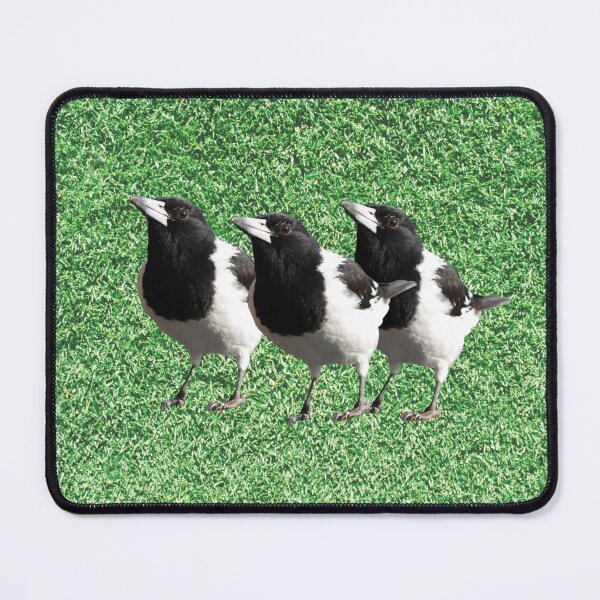Item preview, Pied Butcherbirds designed and sold by mamolebo.