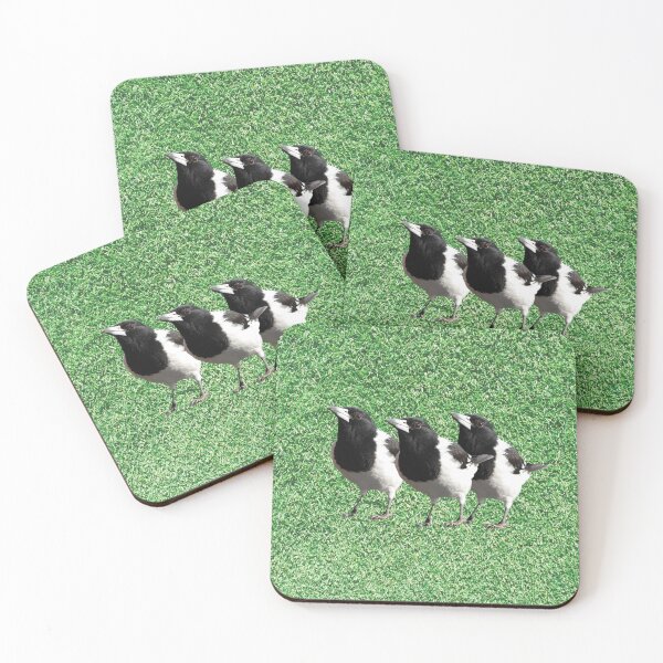Item preview, Pied Butcherbirds designed and sold by mamolebo.