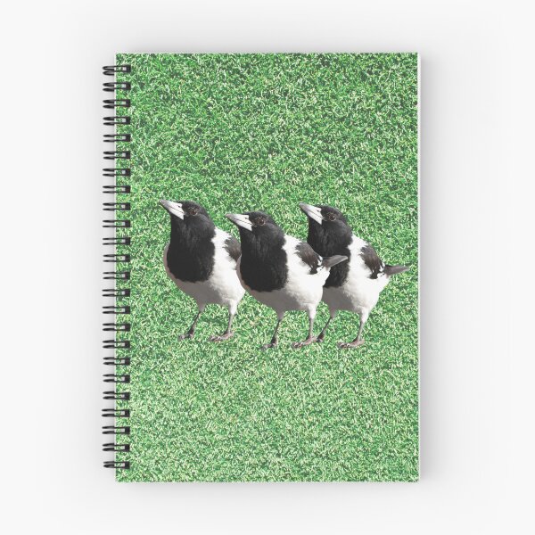 Item preview, Pied Butcherbirds designed and sold by mamolebo.