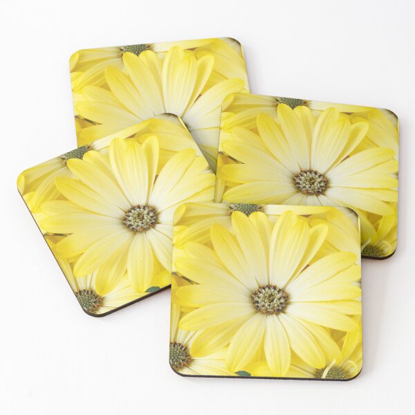 Item preview, Osteospermum Serenity Lemonade = 'Balserlem' Serenity Series designed and sold by Chris Burrows.