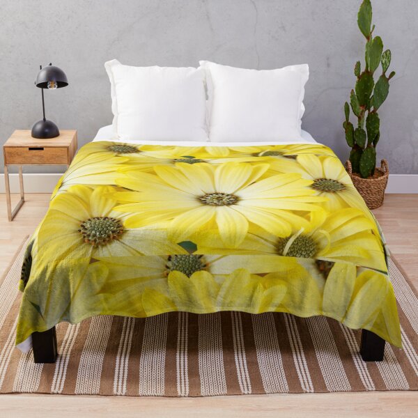Item preview, Osteospermum Serenity Lemonade = 'Balserlem' Serenity Series designed and sold by Chris Burrows.