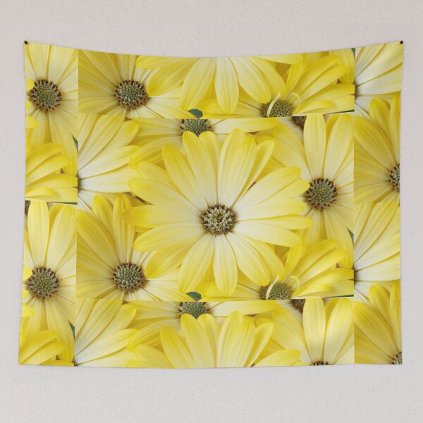 Item preview, Osteospermum Serenity Lemonade = 'Balserlem' Serenity Series designed and sold by Chris Burrows.