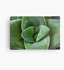 hairy Metal Print
