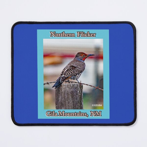 Item preview, For The Bird Lover In You, Northern Flicker, Gila Mountains, NM, designed and sold by MoreEZUSA-Here.