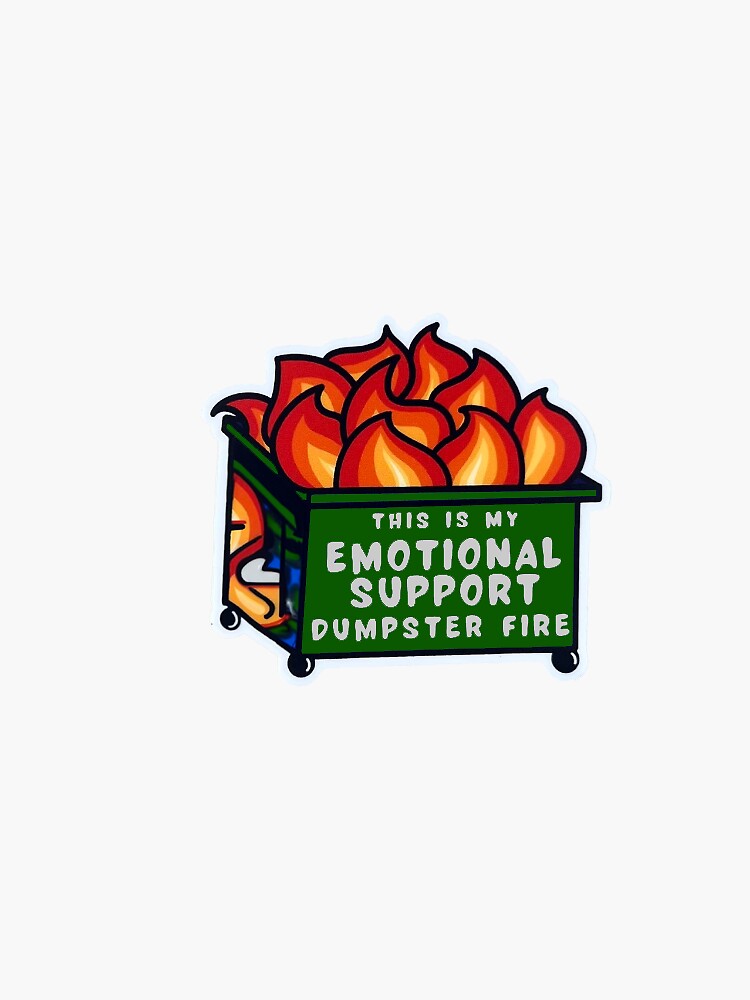 SUNHADO (3 Pcs) Funny Dumpster Fire Sticker This Little Light Of Mine I'm Gonna Let
