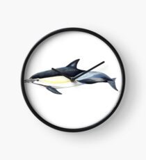 Common dolphin Clock