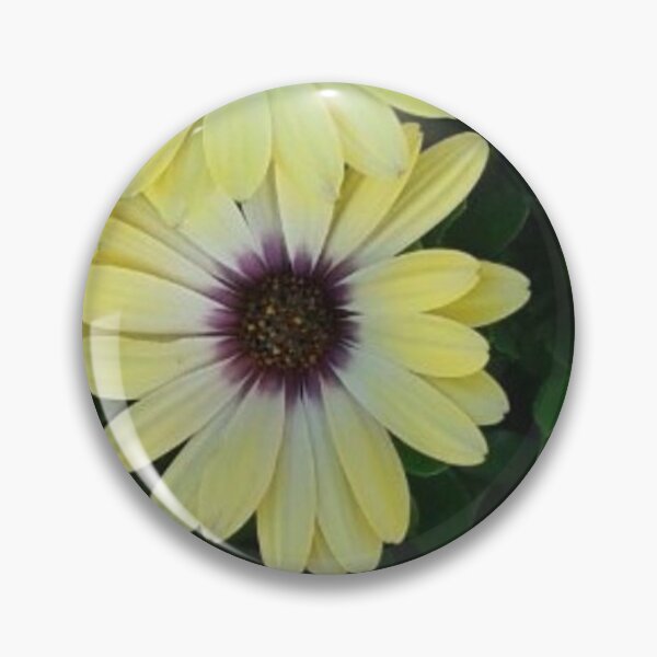 Item preview, four daisies  designed and sold by Irisarts61.