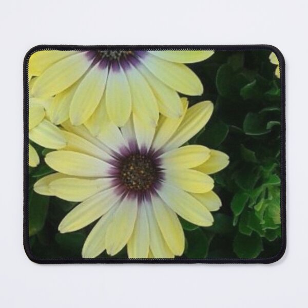 Item preview, four daisies  designed and sold by Irisarts61.