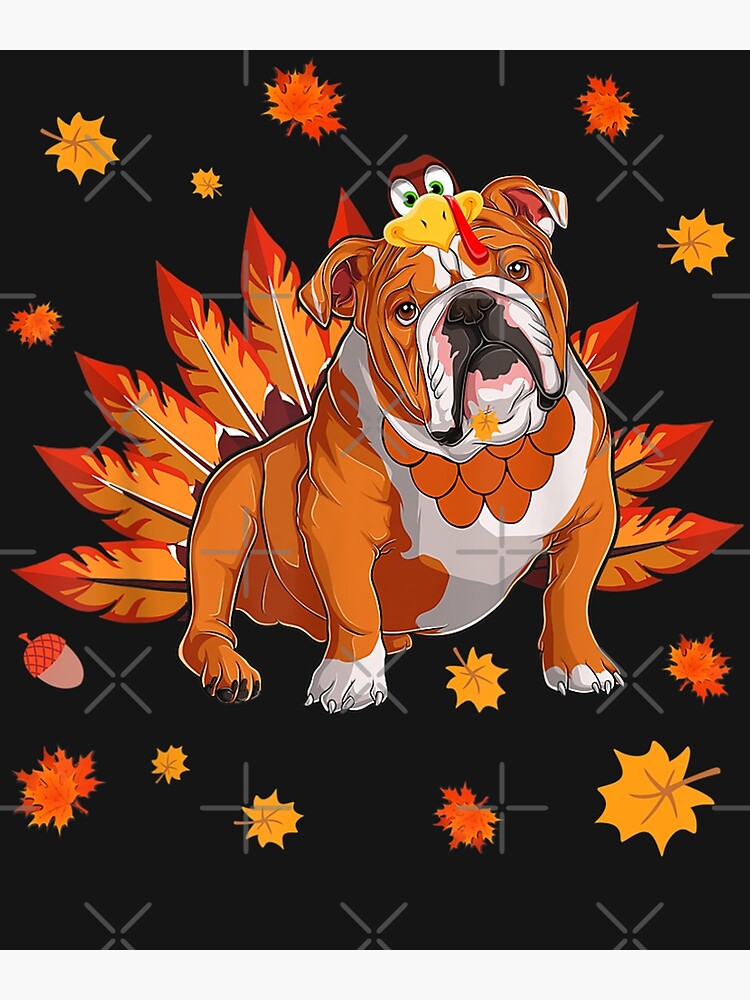 Bulldog turkey 2025