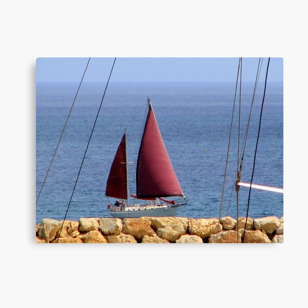 Land Ahoy! Canvas Print