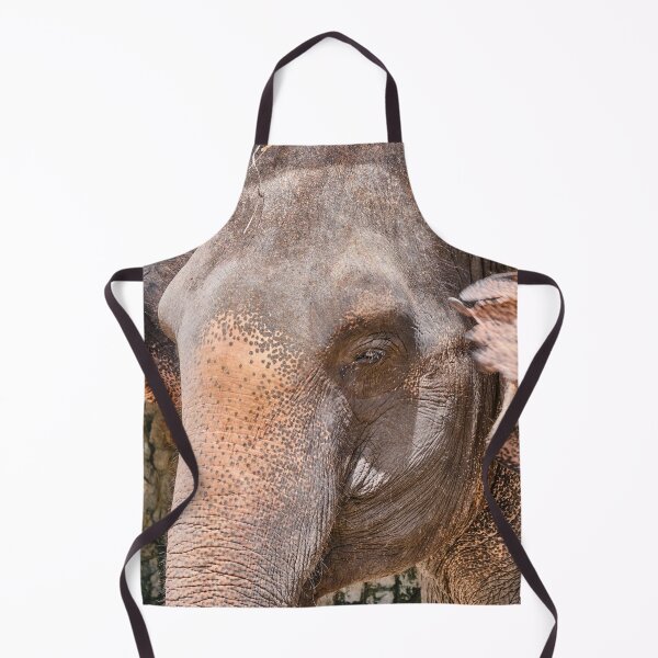 Item preview, The Eyes of Wisdom: Elephant Head designed and sold by franck380.