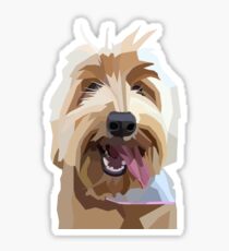 labradoodle car sticker