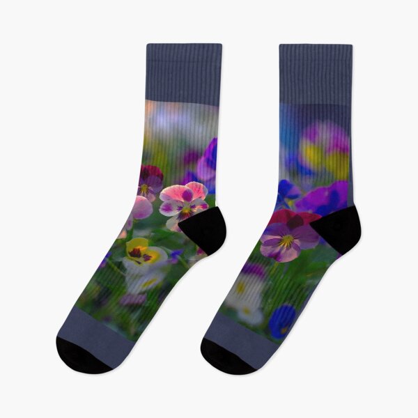 Item preview, Sunlit Viola Flowers designed and sold by Alisonchambers2.