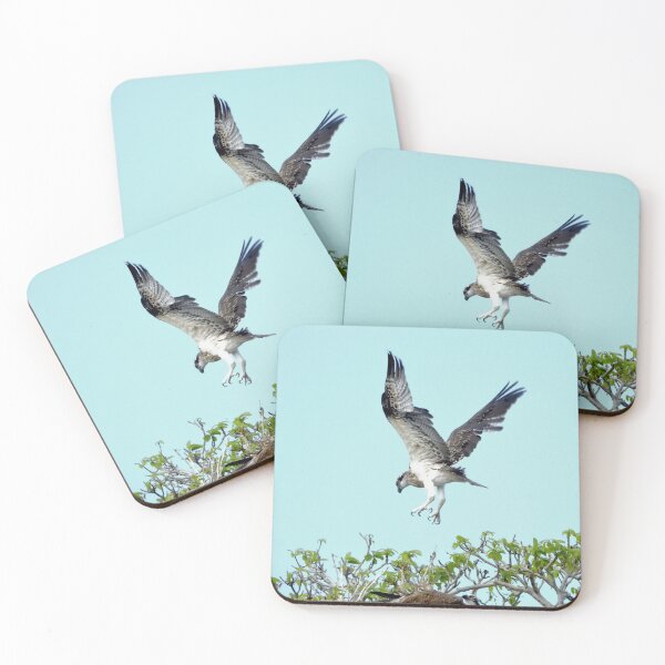 Item preview, Osprey learning to fly  designed and sold by Mark Grimsley.
