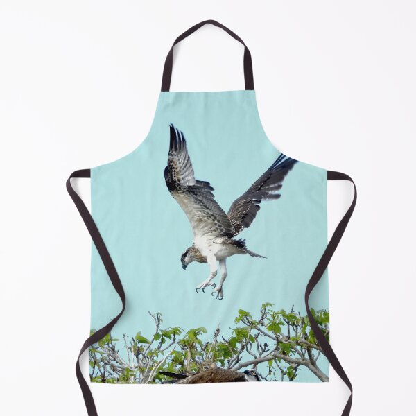 Item preview, Osprey learning to fly designed and sold by Mark Grimsley.